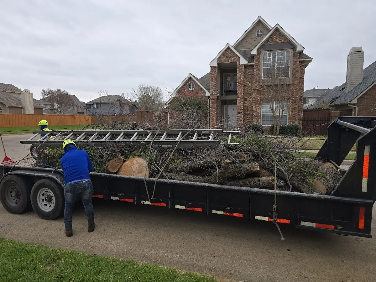 Expert Lot Clearing with proper safety equipment in New River